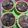 Cooksnap dari Alifyafiq untuk resep Pai Brownies