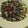 Miko Montgomery's cooksnap of when they made Sauteed mushrooms and asparagus.