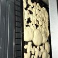 El cooksnap de Gisela Nosti cuando hizo Galletitas con aceite (súper fáciles de hacer).