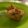 Cooksnap dari Jasmine Jasmine untuk resep Tahu Fantasi Telur Puyuh