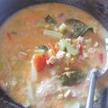 Cooksnap dari Rezki aulia n untuk resep Lodeh manisa / labu siam