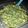 ammolina's cooksnap of when they made Making Pesto.