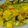 Cooksnap dari everybody can cook untuk resep Ikan kembung bumbu kuning