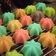 Cooksnap dari eka orto untuk resep Apem nasi rainbow