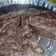 Cooksnap dari Eza Agustiningsih untuk resep Bolu Pisang Ketan Hitam Tanpa Mixer