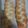 El cooksnap de Rossy Caballero cuando hizo Trenzas dulces.