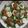 Fahus_pastries's cooksnap of when they made Lettuce salad.