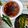 Pratiti Dasgupta Ghosh's cooksnap of when they made সম্বার ডাল (Sambar dal recipe in Bengali).