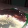 El cooksnap de Marcela Bella cuando hizo Cheesecake sin Horno.