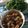 Cooksnap của Trần Cherry khi họ làm theo món Gân bò kho cay hao cơm mùa mưa