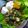 Cooksnap dari Badoci untuk resep Rujak Kangkung