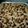 Cooksnap dari Kikiwildan untuk resep Bread pudding