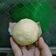 Cooksnap dari Suzan Project untuk resep Bakpao / Pao Simple Lembut Anti keriput