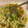 El cooksnap de Noelia cuando hizo Sopa de ensaladilla de verduras con arroz y algo más.