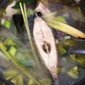 Cooksnap dari Nurrahmawati Aulia Ismail untuk resep Sup Ikan Gurame