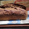 El cooksnap de GabSan cuando hizo Budín integral de bananas y zanahorias rápido.