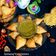 Gunjan Gupta का कुकस्नैप जब उन्होंने मूंग दाल समोसे (Moong Dal Samose Recipe in Hindi) बनाया था।