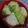 Cooksnap dari Dean Widiani untuk resep #11 Sawi Gulung Kukus Isi Tahu Wortel