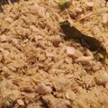 Cooksnap dari Triokta Minda Putri untuk resep Tongkol suwir gurih untuk anak