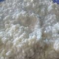 El cooksnap de Sole... cuando hizo Arroz con leche en polvo.