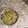 neeti का कुकस्नैप जब उन्होंने सरसों का साग (sarson ka saag recipe in Hindi) बनाया था।