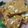 Vaidehi J Shah's cooksnap of when they made સુખડી (Sukhdi Recipe In Gujarati).