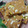 Vaidehi J Shah's cooksnap of when they made સુખડી (Sukhdi Recipe In Gujarati).