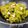 ZMA's cooksnap of when they made Green Peas Halwa.