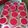 Cooksnap dari Nimas Ririn untuk resep Puding hunkwe buah naga