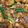 Khalida Misbah's cooksnap of when they made Tawa chicken.