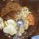 Cooksnap dari Aneka_4DSR untuk resep Ayam Goreng Ala Mbok Berek (Dijamin Enak dan Wajib Coba)