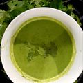 Anupama Maheshwari का कुकस्नैप जब उन्होंने धनिया दही की चटनी (dhaniya dahi ki chutney recipe in Hindi) बनाया था।