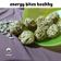 Cooksnap dari asyiah untuk resep Cranberry Pistachio Energy Bites