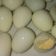 Cooksnap dari Riska Purnama untuk resep Trik merebus telur matang dalam 5 menit
