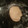 ShannonFrisbee's cooksnap of when they made Easy pie crust , makes 2.