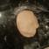 ShannonFrisbee's cooksnap of when they made Easy pie crust , makes 2.