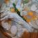 Cooksnap dari Esti untuk resep Sayur sop ceker-bakso-sosis