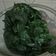 Cooksnap dari Dewi Setyawati untuk resep Cara merebus daun singkong agar tidak pahit dan tetap hijau