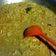 Cooksnap dari Chaan Muhammad untuk resep Rebung Masak Santan