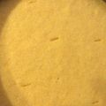 El cooksnap de Victoria cuando hizo Torta de maíz (polenta).