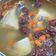 wendy Li 的 補身鱸魚湯 cooksnap