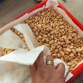 Cooksnap dari Yane Kitchen's untuk resep Kacang Bawang Gurih dan Renyah Ala Siva Alesha_Kitchen