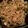 amanda.carnell.3's cooksnap of when they made Chicken Lo Mein.