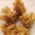 Cooksnap dari Nia Chandra Vidic untuk resep Fried Wonton