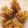 Cooksnap dari Nia Chandra Vidic untuk resep Fried Wonton