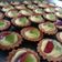 Cooksnap dari Mrs James untuk resep Pie crust no fail/anti gagal