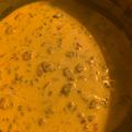brandi's cooksnap of when they made Favorite cheese dip.
