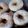 El cooksnap de Priscila Jacquet cuando hizo Rosquitas!!!.