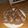 Cooksnap dari Nunuk untuk resep Oat Cookies