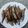 El cooksnap de Juan Miguel Viudes Tur cuando hizo Sardinas asadas al horno.